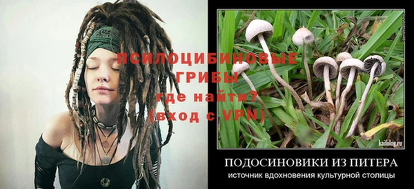 МДПВ Алексин